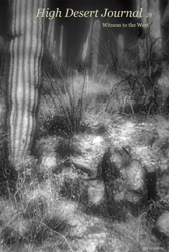 Issue 29, High Desert Journal